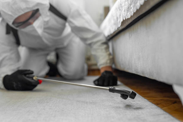 Professional Bed Bug Control technician working in Leilani Estates, HI