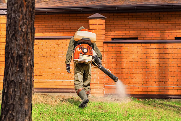 Trusted Termite Control service in Leilani Estates, HI - Nex Pest Control